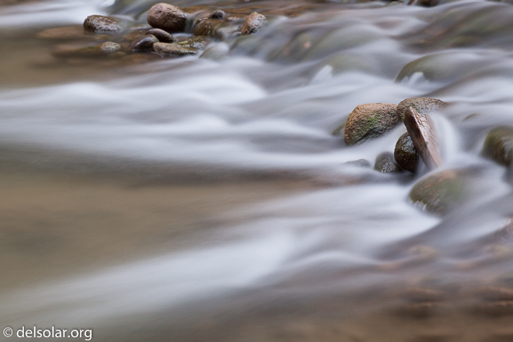 Canon EOS 5D Mark II  --  163 mm  --  EF70-200mm f/4L USM  