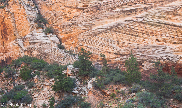 Canon EOS 5D Mark II  --  50 mm  --  EF24-105mm f/4L IS USM  