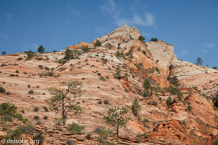 Canon EOS 5D Mark II  --  105 mm  --  EF24-105mm f/4L IS USM  