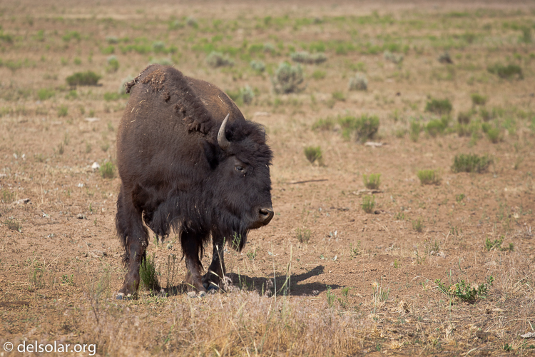 Canon EOS 5D Mark II  --  200 mm  --  EF70-200mm f/4L USM  