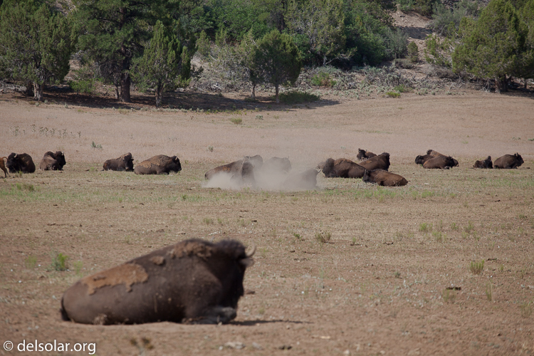Canon EOS 5D Mark II  --  200 mm  --  EF70-200mm f/4L USM  