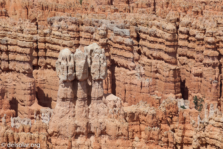 Canon EOS 5D Mark II  --  184 mm  --  EF70-200mm f/4L USM  