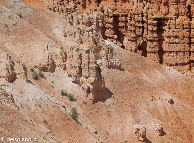 Canon EOS 5D Mark II  --  188 mm  --  EF70-200mm f/4L USM  