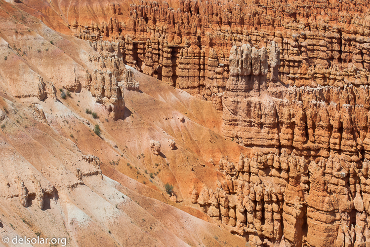 Canon EOS 5D Mark II  --  87 mm  --  EF70-200mm f/4L USM  