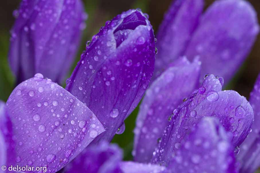 ILCE-6000  --  FE 90mm F2.8 Macro G OSS -- 1/250 sec at f / 4.5 -- ISO 640 -- 0 EV -- 