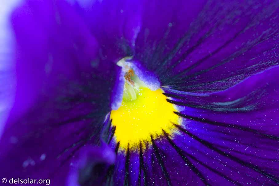 ILCE-6000  --  FE 90mm F2.8 Macro G OSS -- 1/100 sec at f / 5.6 -- ISO 1250 -- 0 EV -- 