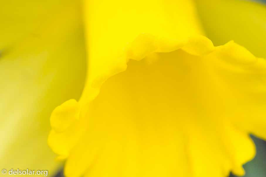 ILCE-6000  --  FE 90mm F2.8 Macro G OSS -- 1/400 sec at f / 7.1 -- ISO 1250 -- 0 EV -- 