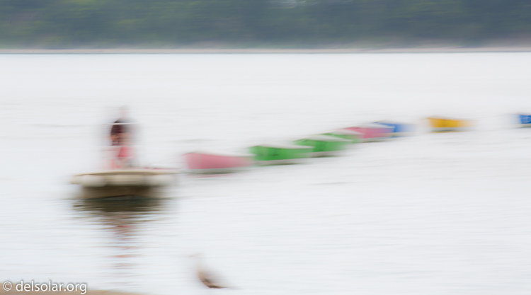 Canon EOS 5D Mark III  --  371 mm  --  EF100-400mm f/4.5-5.6L IS II USM  