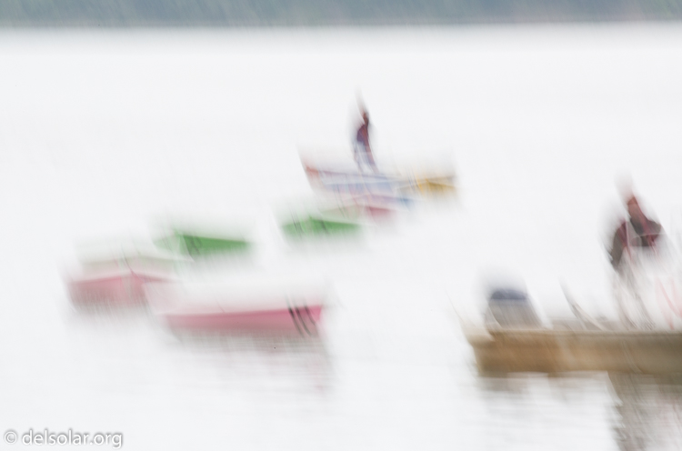 Canon EOS 5D Mark III  --  371 mm  --  EF100-400mm f/4.5-5.6L IS II USM  