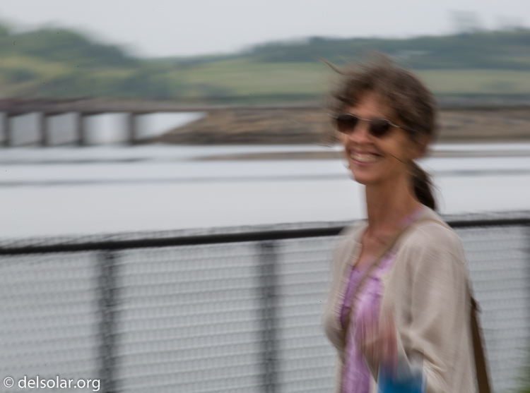 Canon EOS 5D Mark III  --  400 mm  --  EF100-400mm f/4.5-5.6L IS II USM  