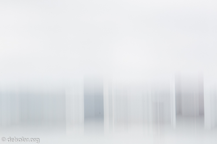 Canon EOS 5D Mark III  --  200 mm  --  EF100-400mm f/4.5-5.6L IS II USM  