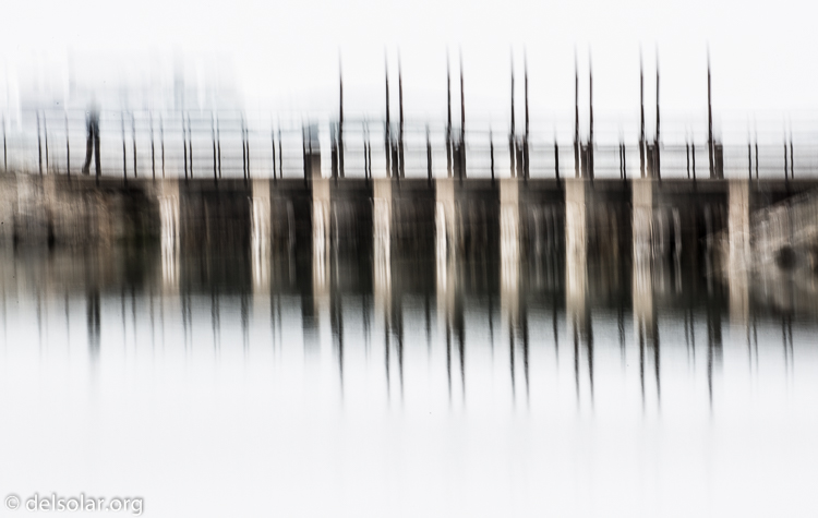 Canon EOS 5D Mark III  --  263 mm  --  EF100-400mm f/4.5-5.6L IS II USM  