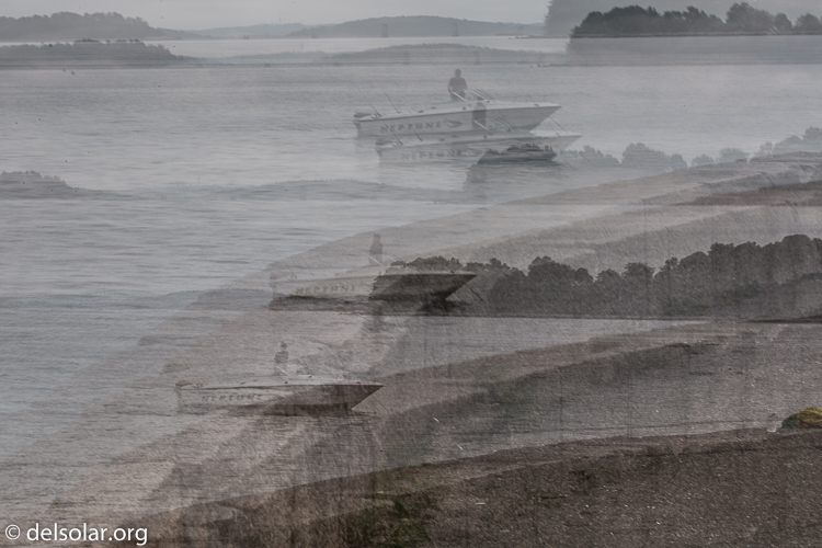 Canon EOS 5D Mark III  --  153 mm  --  EF100-400mm f/4.5-5.6L IS II USM  