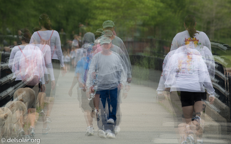 Canon EOS 5D Mark III  --  400 mm  --  EF100-400mm f/4.5-5.6L IS II USM  