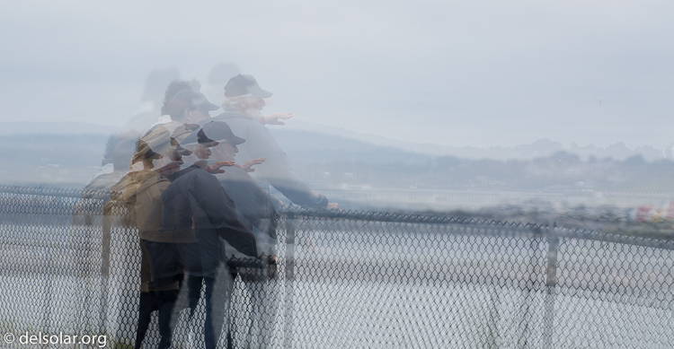 Canon EOS 5D Mark III  --  263 mm  --  EF100-400mm f/4.5-5.6L IS II USM  