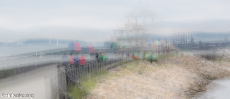 Canon EOS 5D Mark III  --  263 mm  --  EF100-400mm f/4.5-5.6L IS II USM  