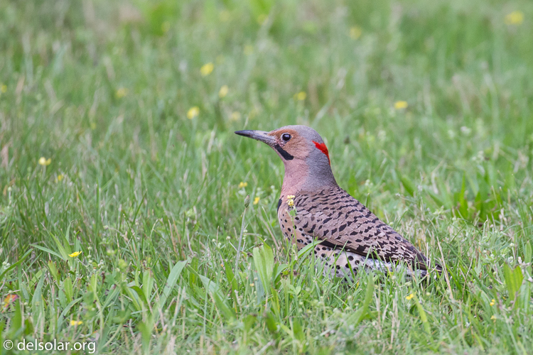 Canon EOS 5D Mark III  --  400 mm  --  EF100-400mm f/4.5-5.6L IS II USM  