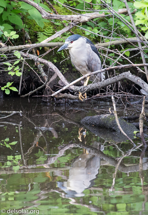 Canon EOS 5D Mark III  --  400 mm  --  EF100-400mm f/4.5-5.6L IS II USM  