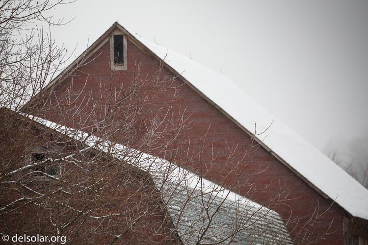 Canon EOS 5D Mark III  --  286 mm  --  EF100-400mm f/4.5-5.6L IS II USM  