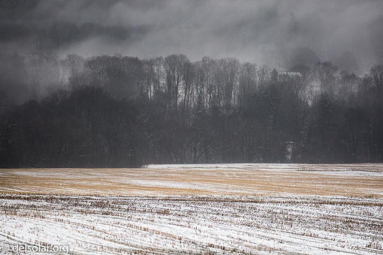 Canon EOS 5D Mark III  --  200 mm  --  EF100-400mm f/4.5-5.6L IS II USM  