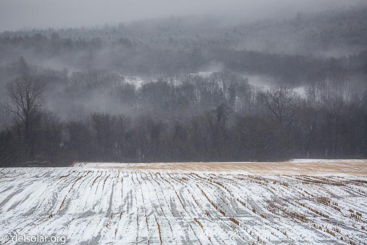 Canon EOS 5D Mark III  --  176 mm  --  EF100-400mm f/4.5-5.6L IS II USM  