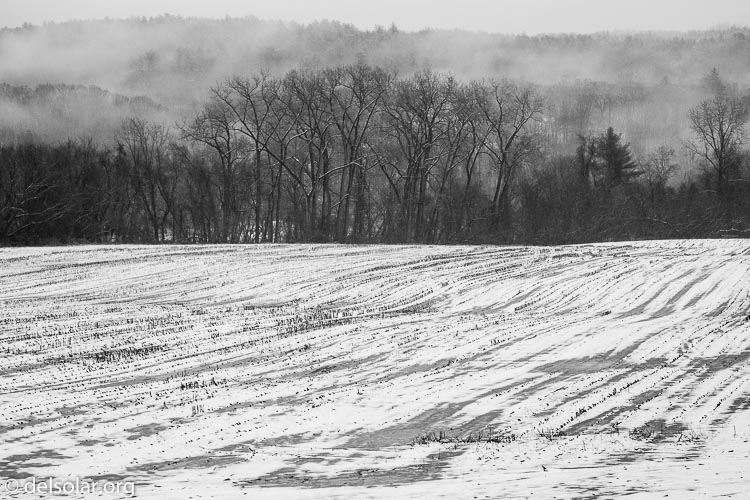 Canon EOS 5D Mark III  --  114 mm  --  EF100-400mm f/4.5-5.6L IS II USM  