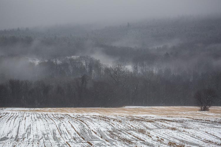 Canon EOS 5D Mark III  --  164 mm  --  EF100-400mm f/4.5-5.6L IS II USM  