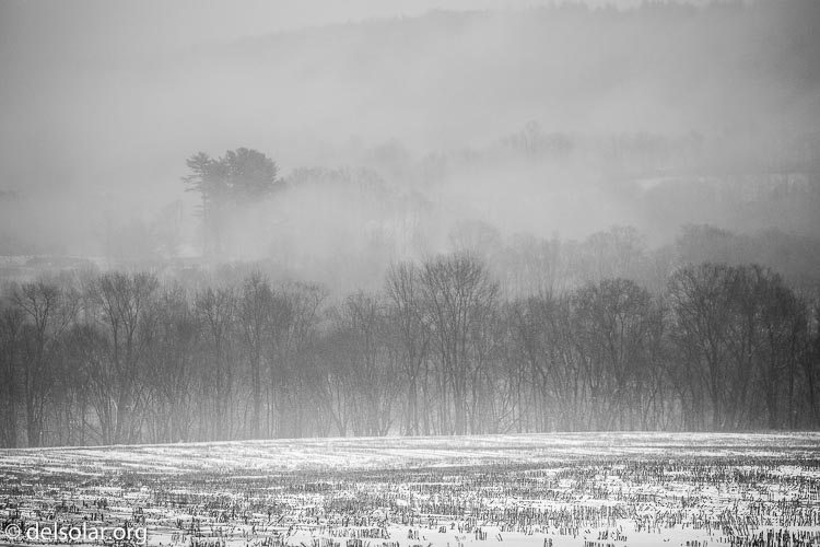 Canon EOS 5D Mark III  --  234 mm  --  EF100-400mm f/4.5-5.6L IS II USM  