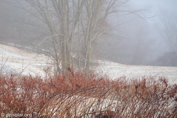 Canon EOS 5D Mark III  --  200 mm  --  EF100-400mm f/4.5-5.6L IS II USM  