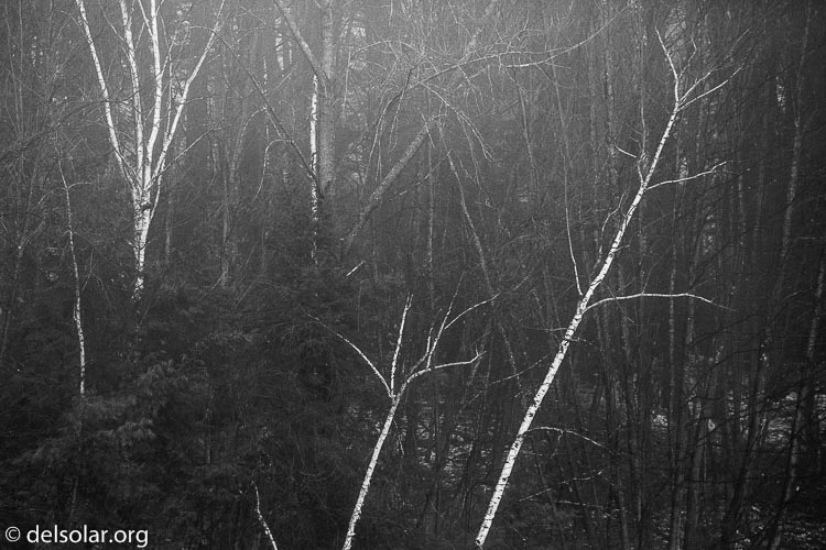 Canon EOS 5D Mark III  --  214 mm  --  EF100-400mm f/4.5-5.6L IS II USM  