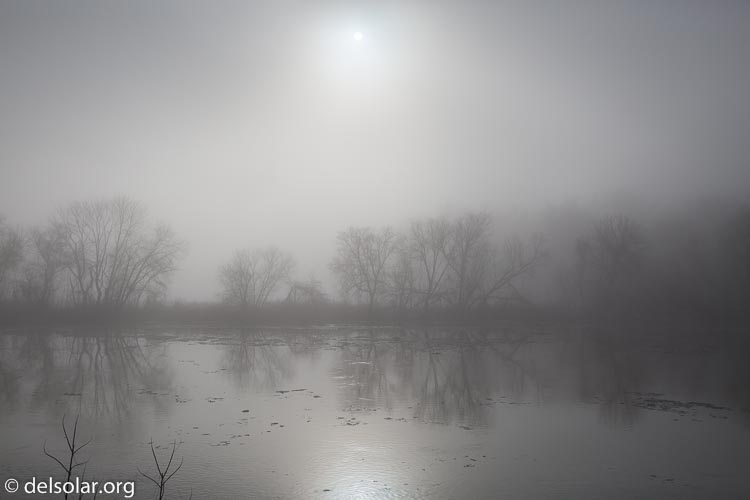 Canon EOS 5D Mark III  --  40 mm  --  EF24-105mm f/4L IS USM  