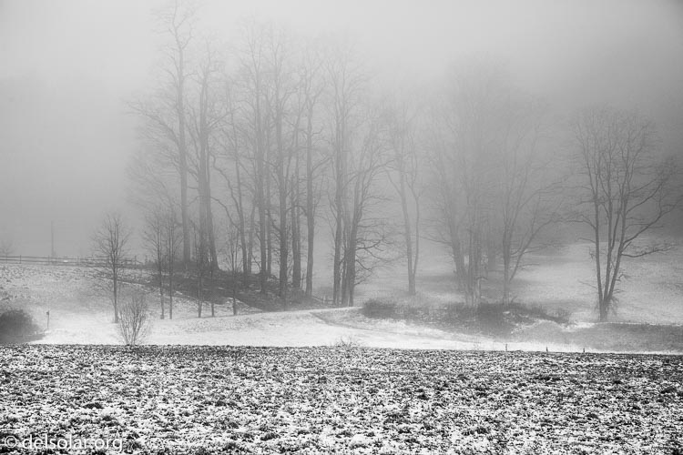 Canon EOS 5D Mark III  --  92 mm  --  EF24-105mm f/4L IS USM  