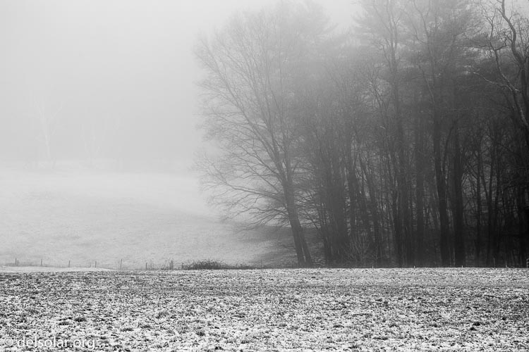 Canon EOS 5D Mark III  --  98 mm  --  EF24-105mm f/4L IS USM  