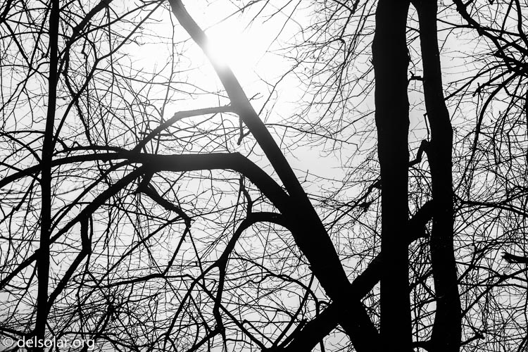 Canon EOS 5D Mark III  --  73 mm  --  EF24-105mm f/4L IS USM  