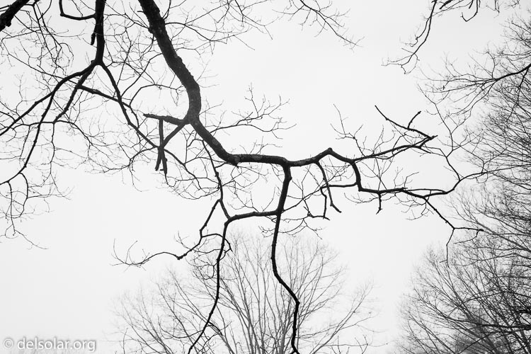 Canon EOS 5D Mark III  --  40 mm  --  EF24-105mm f/4L IS USM  