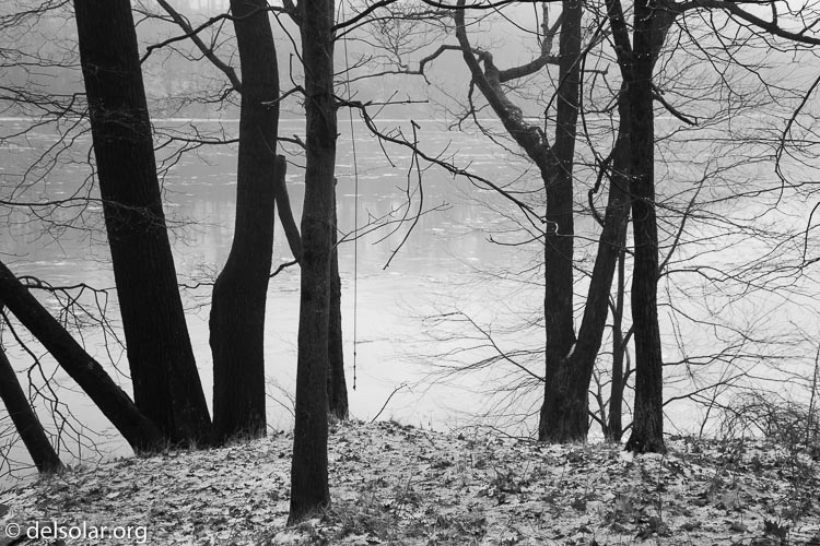 Canon EOS 5D Mark III  --  45 mm  --  EF24-105mm f/4L IS USM  