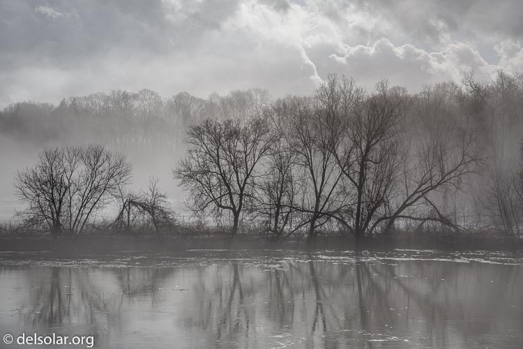 Canon EOS 5D Mark III  --  80 mm  --  EF24-105mm f/4L IS USM  