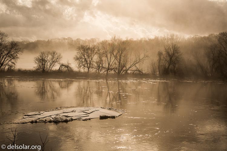 Canon EOS 5D Mark III  --  45 mm  --  EF24-105mm f/4L IS USM  