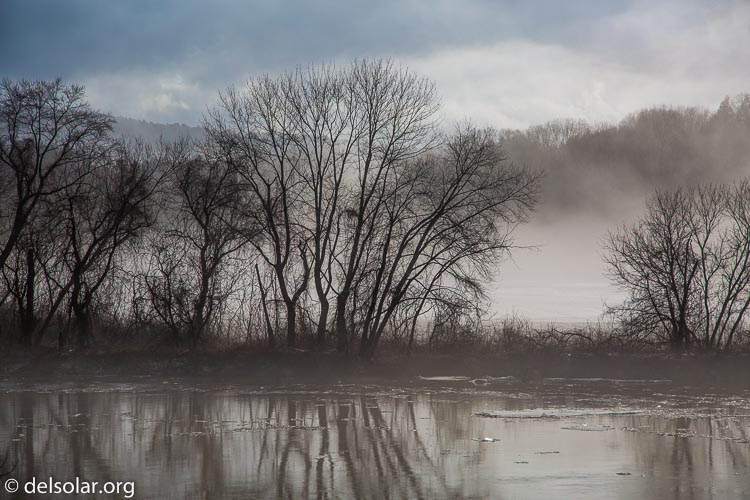 Canon EOS 5D Mark III  --  105 mm  --  EF24-105mm f/4L IS USM  