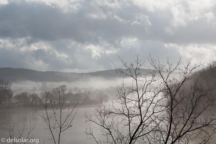 Canon EOS 5D Mark III  --  50 mm  --  EF24-105mm f/4L IS USM  