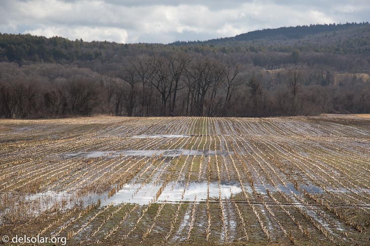 Canon EOS 5D Mark III  --  96 mm  --  EF24-105mm f/4L IS USM  