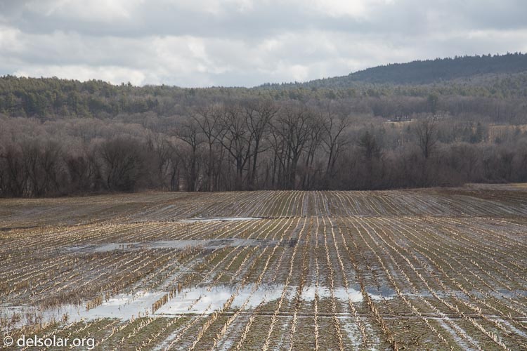 Canon EOS 5D Mark III  --  96 mm  --  EF24-105mm f/4L IS USM  