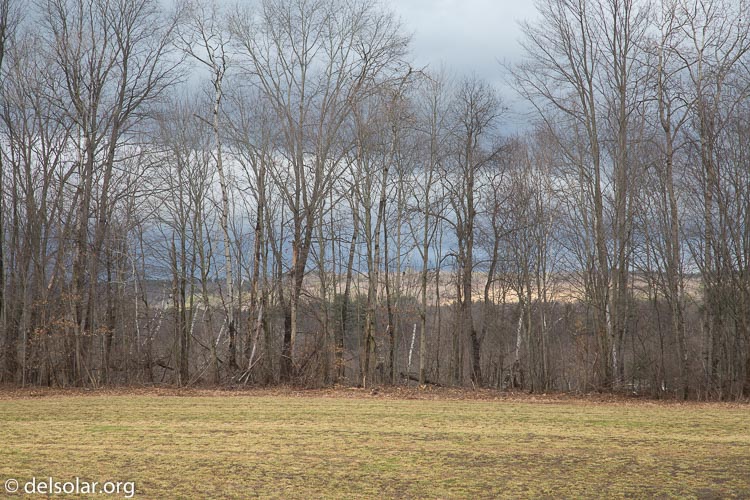 Canon EOS 5D Mark III  --  105 mm  --  EF24-105mm f/4L IS USM  