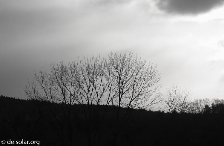 Canon EOS 5D Mark III  --  170 mm  --  EF100-400mm f/4.5-5.6L IS II USM  