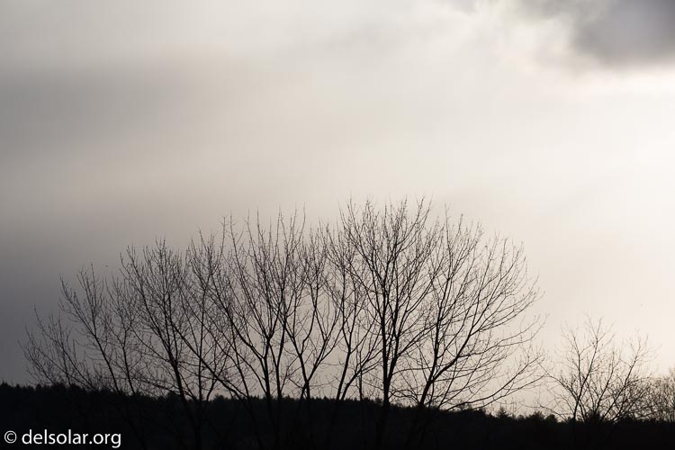 Canon EOS 5D Mark III  --  170 mm  --  EF100-400mm f/4.5-5.6L IS II USM  