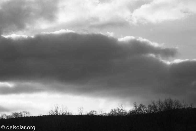 Canon EOS 5D Mark III  --  100 mm  --  EF100-400mm f/4.5-5.6L IS II USM  