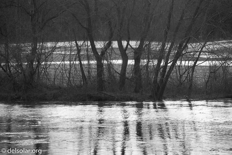 Canon EOS 5D Mark III  --  241 mm  --  EF100-400mm f/4.5-5.6L IS II USM  