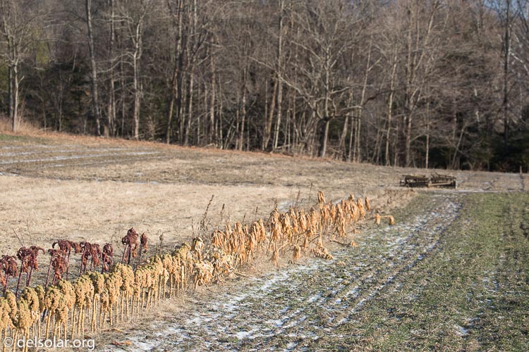 Canon EOS 5D Mark III  --  148 mm  --  EF100-400mm f/4.5-5.6L IS II USM  