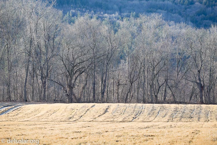 Canon EOS 5D Mark III  --  200 mm  --  EF100-400mm f/4.5-5.6L IS II USM  