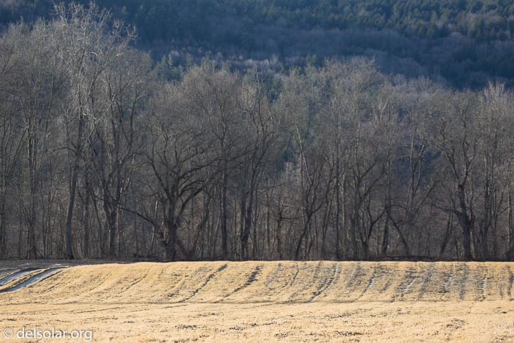 Canon EOS 5D Mark III  --  176 mm  --  EF100-400mm f/4.5-5.6L IS II USM  